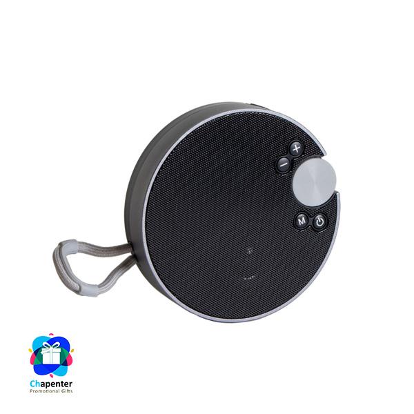  2_.اسپیکر بلوتوثی قابل حمل